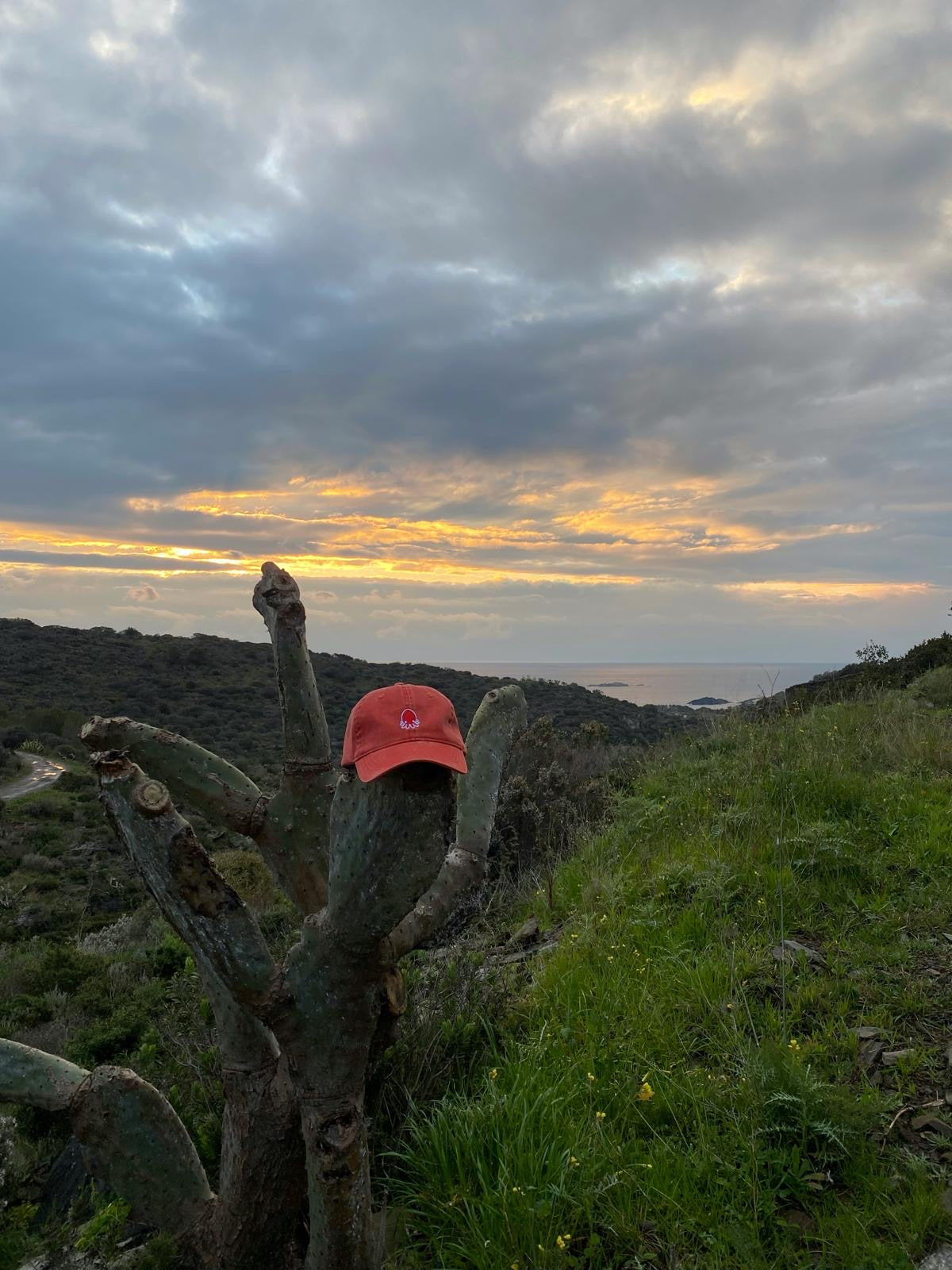 Gorra Coral