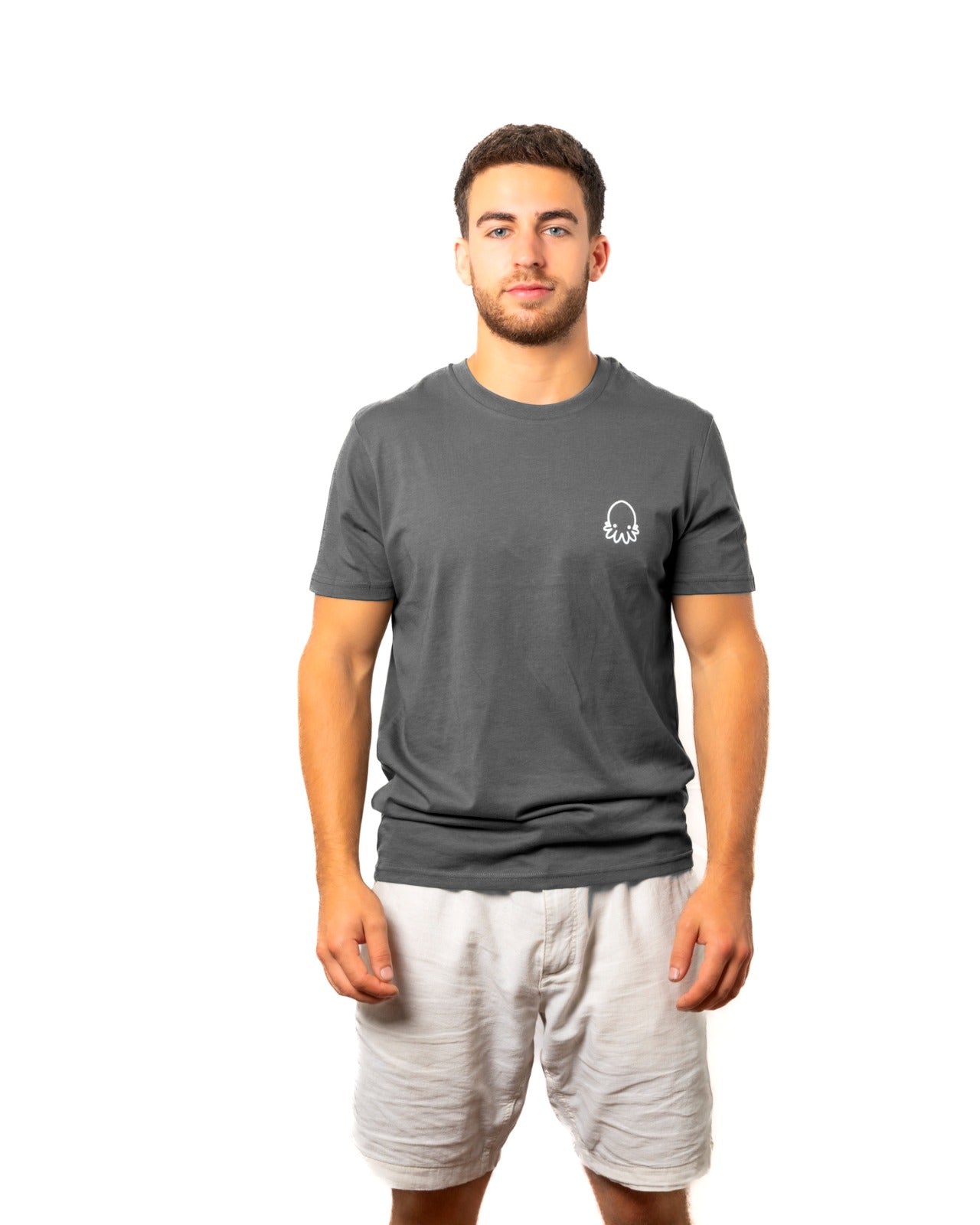 gris_front_llaut.jpg